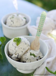 A bowl of homemade mint chip ice cream.