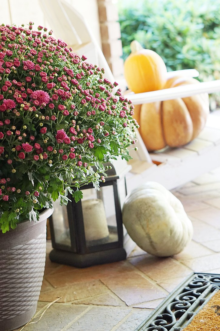 Mums, lanterns, pumpkins, and more fall front porch ideas and inspiration. 