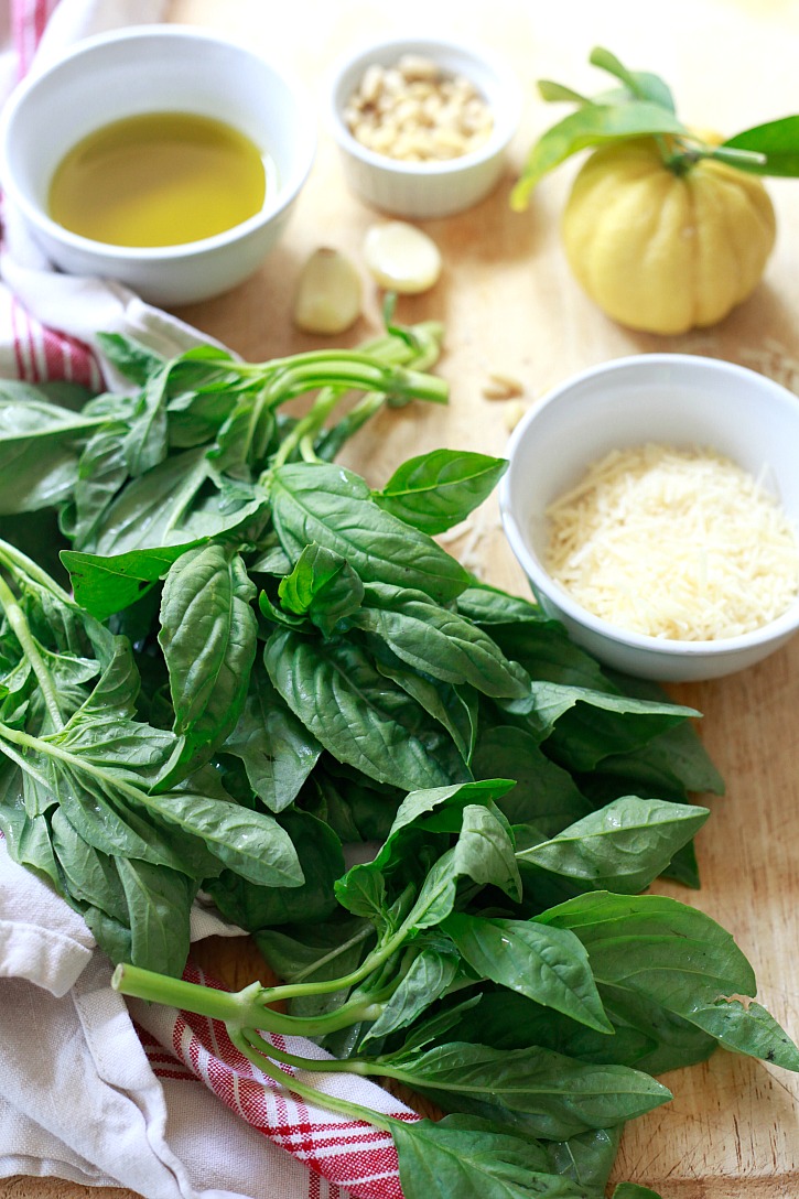 Pesto ingredients include a bunch of fresh basil, garlic, pine nuts, Parmesan, and olive oil. 