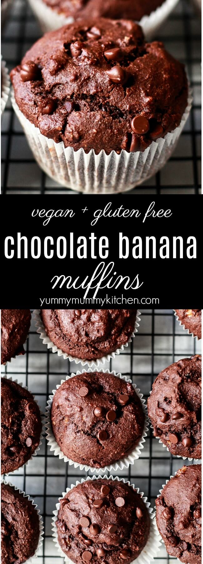 The best vegan gluten free chocolate banana muffins made with healthier ingredients like almond flour and oat flour. These easy chocolate muffins are sweetened naturally with bananas and maple syrup. Chocolate banana muffins make a delicious breakfast, brunch, after school snack, or dessert. 