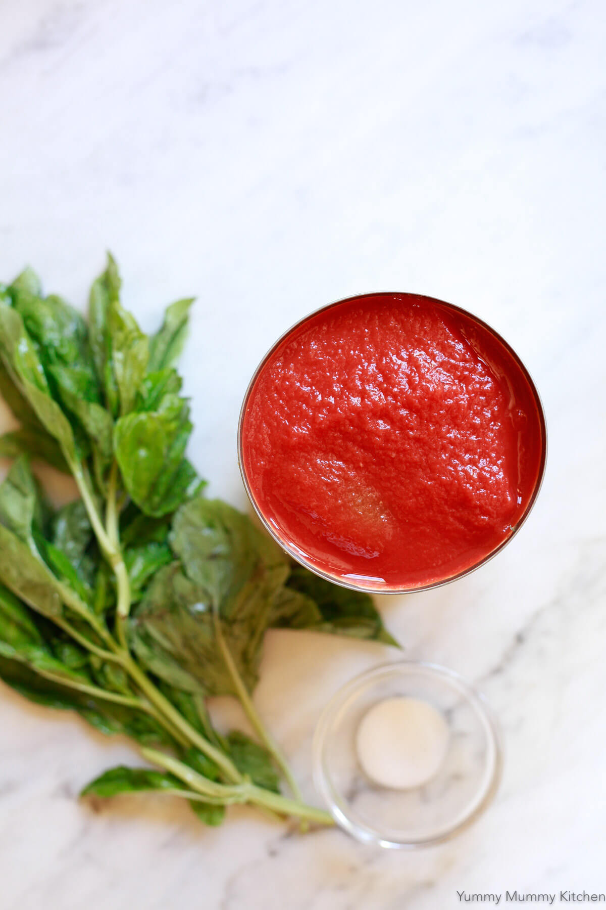 Neapolitan San Marzano Pizza Sauce Recipe (nocook)