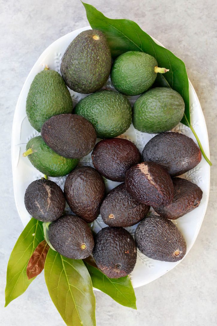 A white oval platter filled with ripe and mature Haas avocados. 