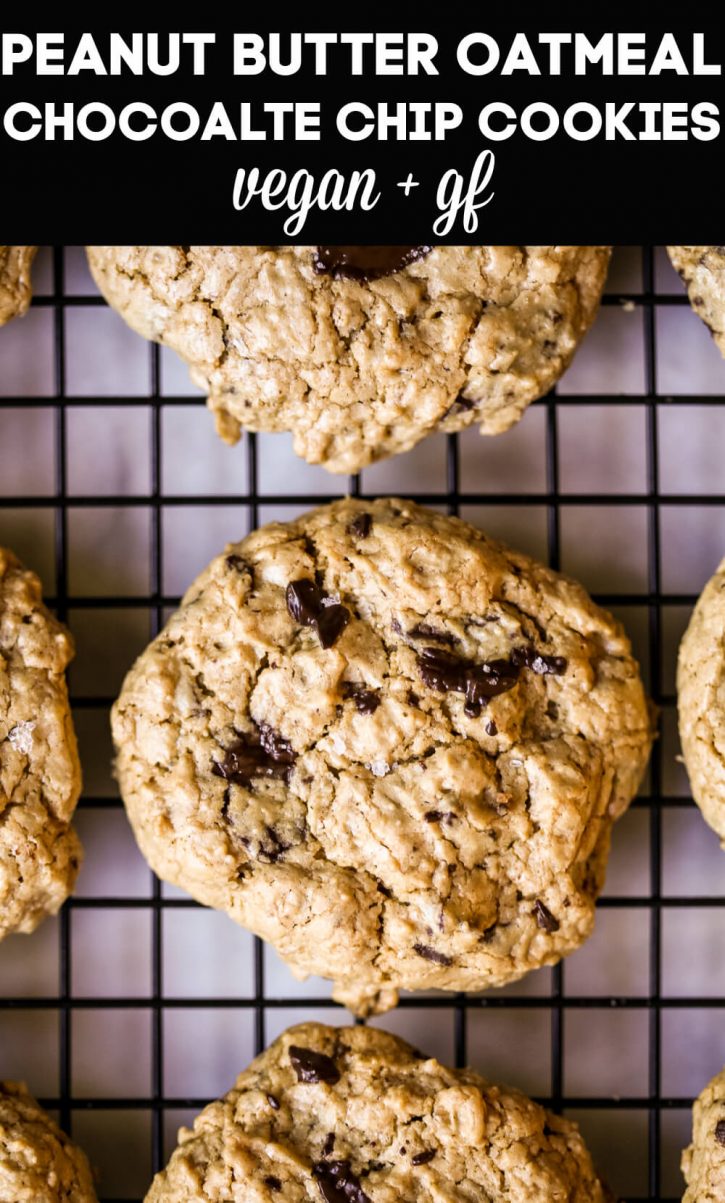 Soft and chewy peanut butter oatmeal chocolate chip cookies on a cooling wrack. This gluten free oatmeal cookie is the best with melty vegan dark chocolate chips! It's a quick and easy cookie recipe made with healthier ingredients like maple syrup and oat flour. 