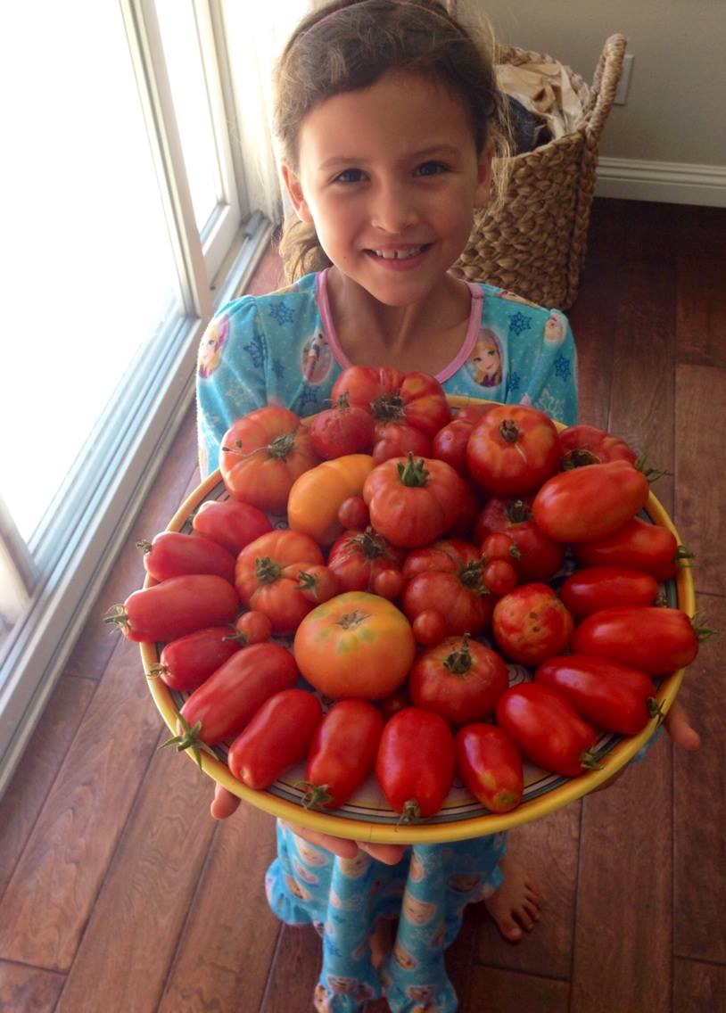 A little girl holds a large platter of homegrown tomatoes. 