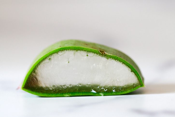 A close up photo of a slice of aloe vera leaf showing the outer skin, inner gel, and latex in between. 