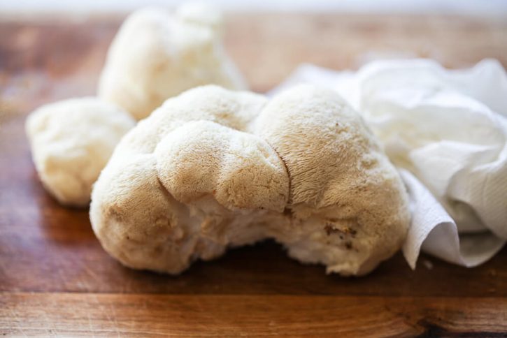 A fresh lion's mane mushroom gets cleaned with a damp paper towel on a cutting board. 