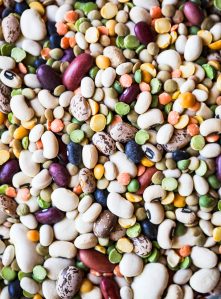 A close-up photo of different types of legumes.