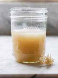A close up photo of a mason jar filled with homemade sea moss gel. A piece of dried sea moss sits in the foreground.