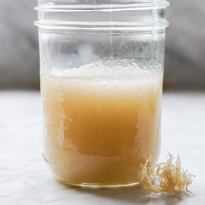 A close up photo of a mason jar filled with homemade sea moss gel. A piece of dried sea moss sits in the foreground.
