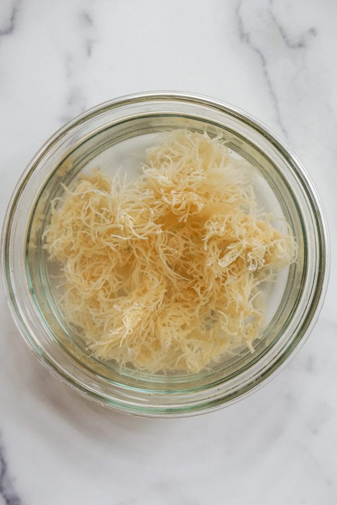 What is Sea Moss, Benefits, How to Make Irish Sea Moss Gel