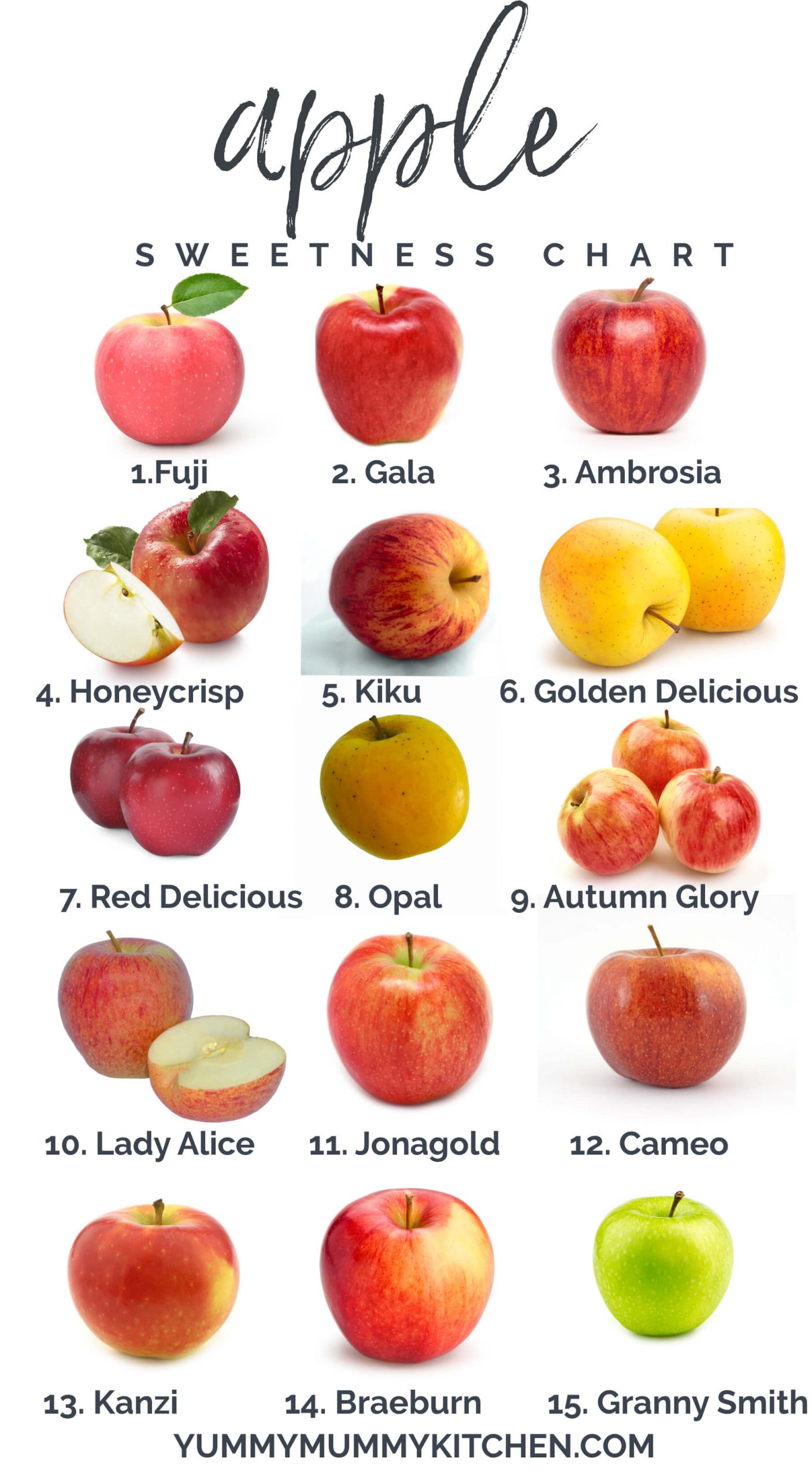 Apple Sweetness Chart - Top Types of Apples and How to Use
