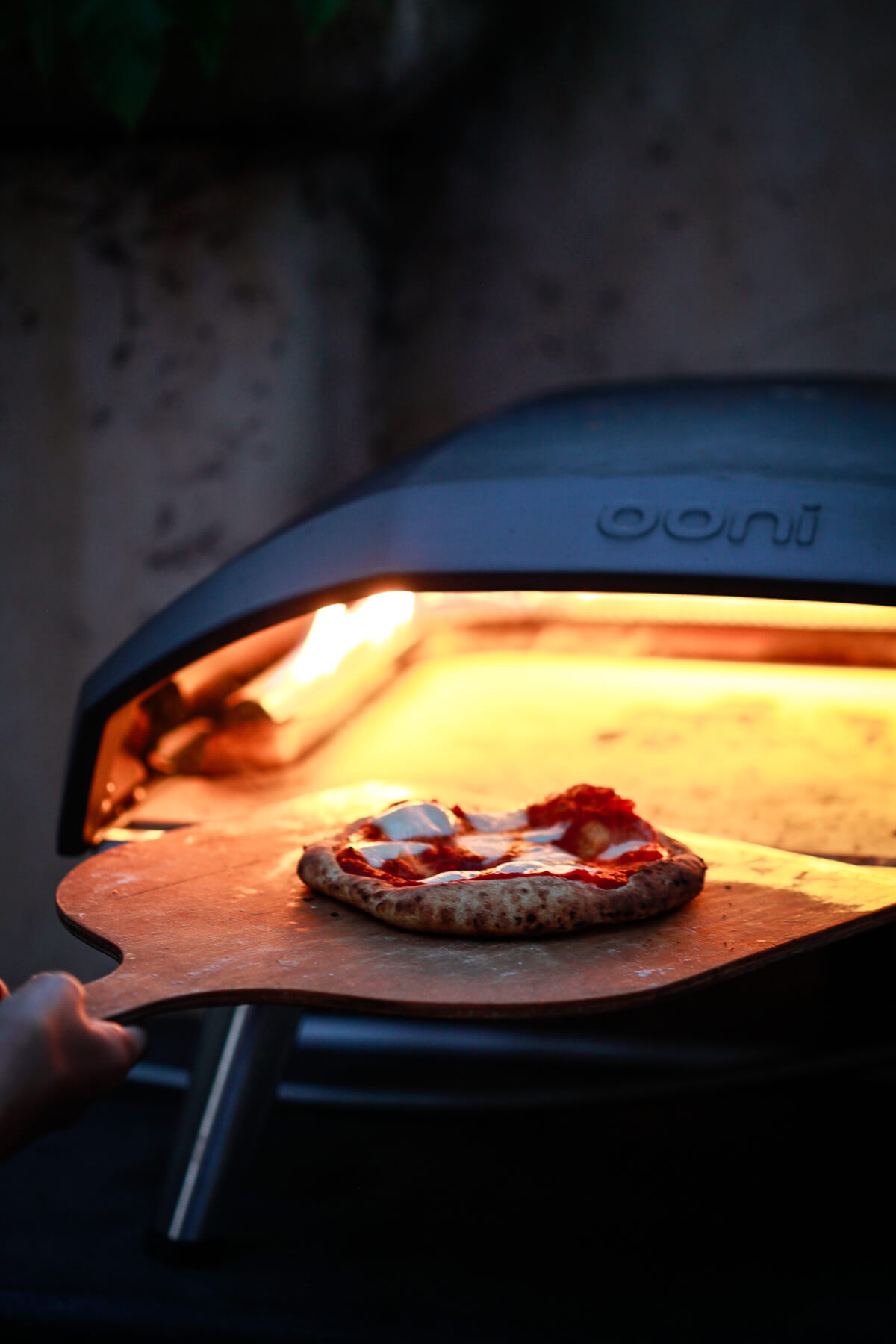 A perfectly cooked margherita pizza comes out of an Ooni Koda 16 pizza oven on a wooden pizza peel. 