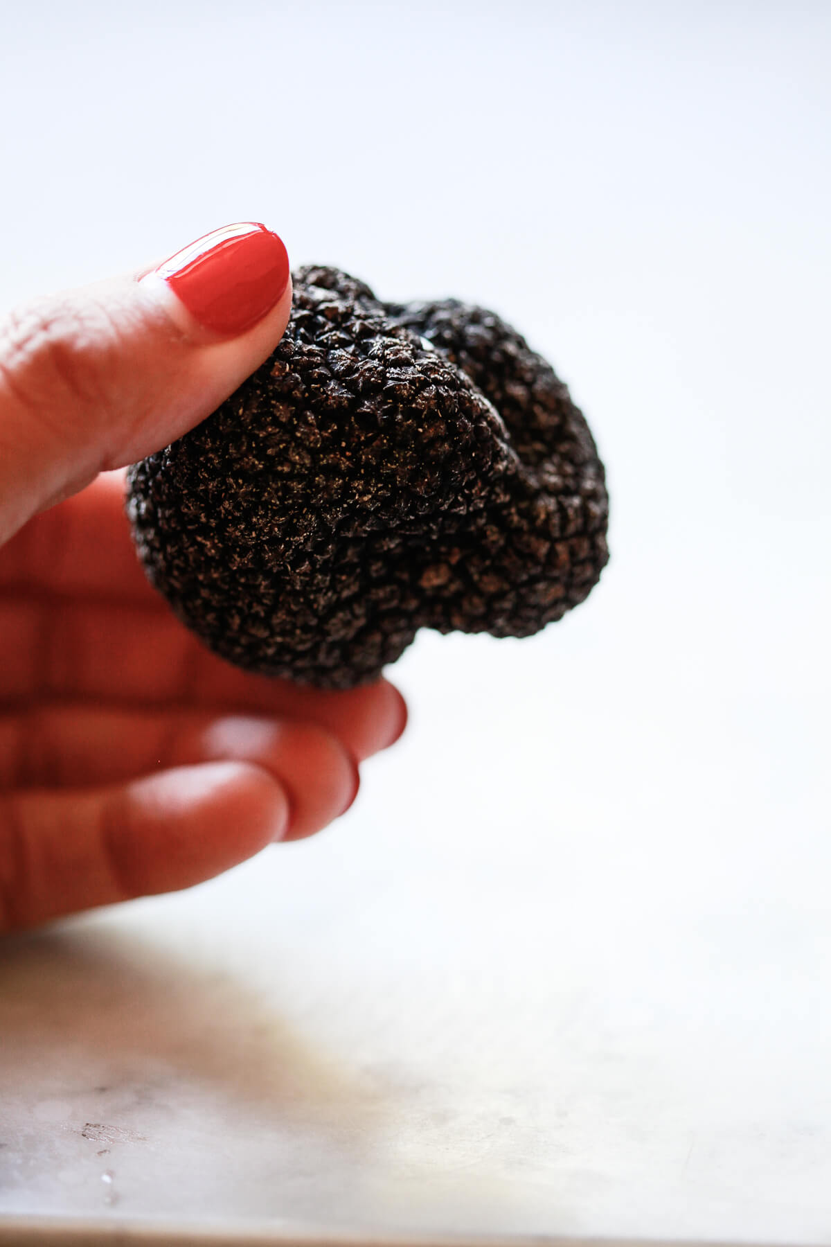 A hand with red nail polish holds 1.8 oz. fresh black truffle about the size of a golf ball on a white marble countertop. 