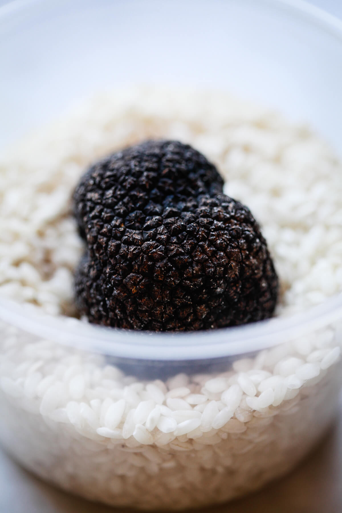 A black truffle in a container of rice. 