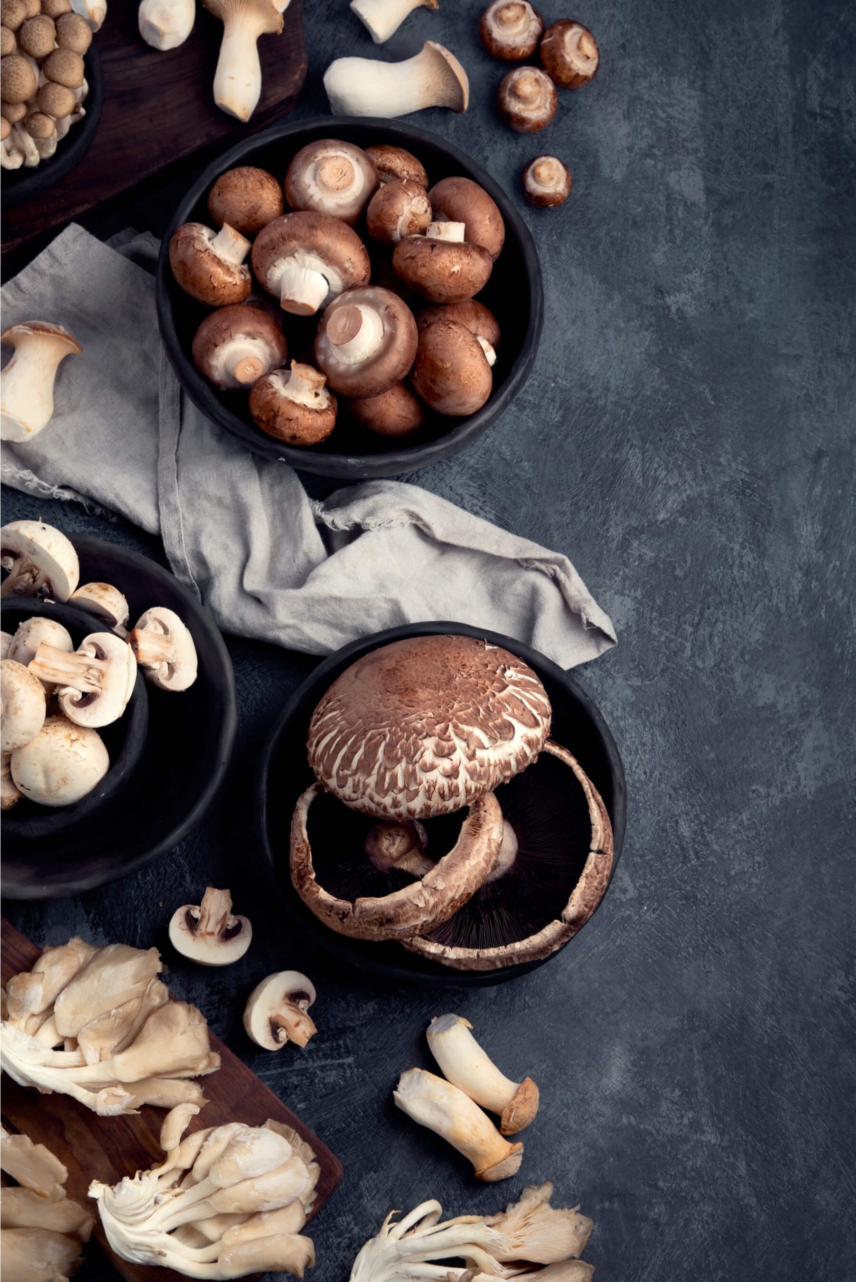 A variety of gourmet mushrooms including maitake, portobello, king oyster, baby bella, and button on a grey background. 