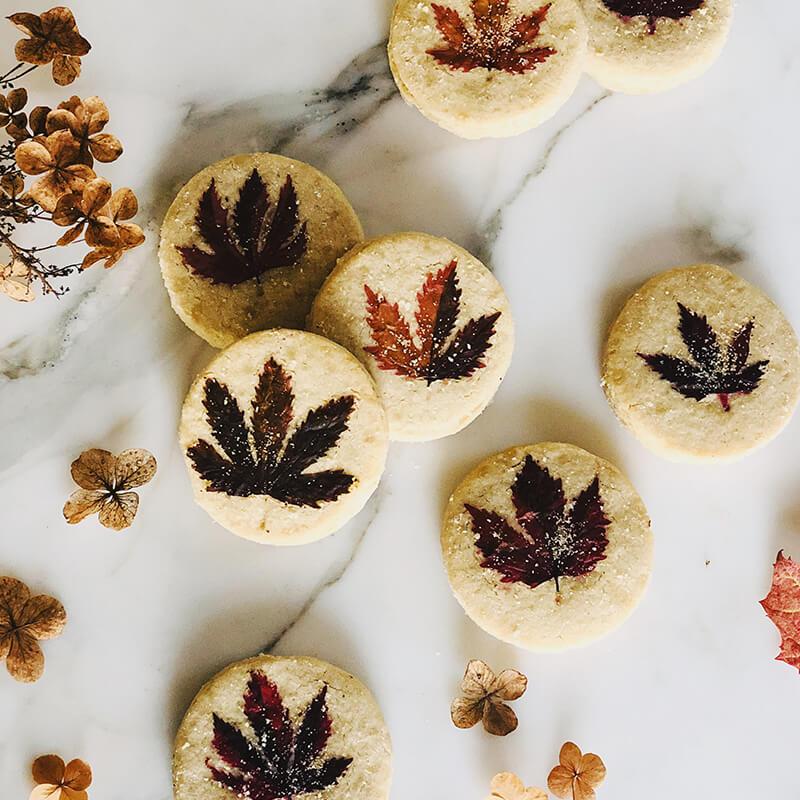 Round shortbread cookies topped with edible pressed fall leaves. 