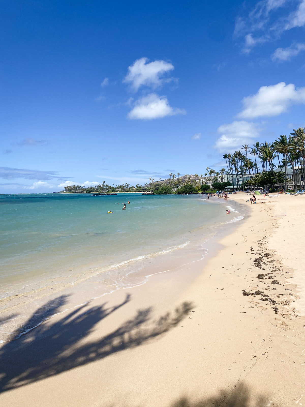 A view of the Kahala Beach. A white sand beach with blue ocean and palm trees. 