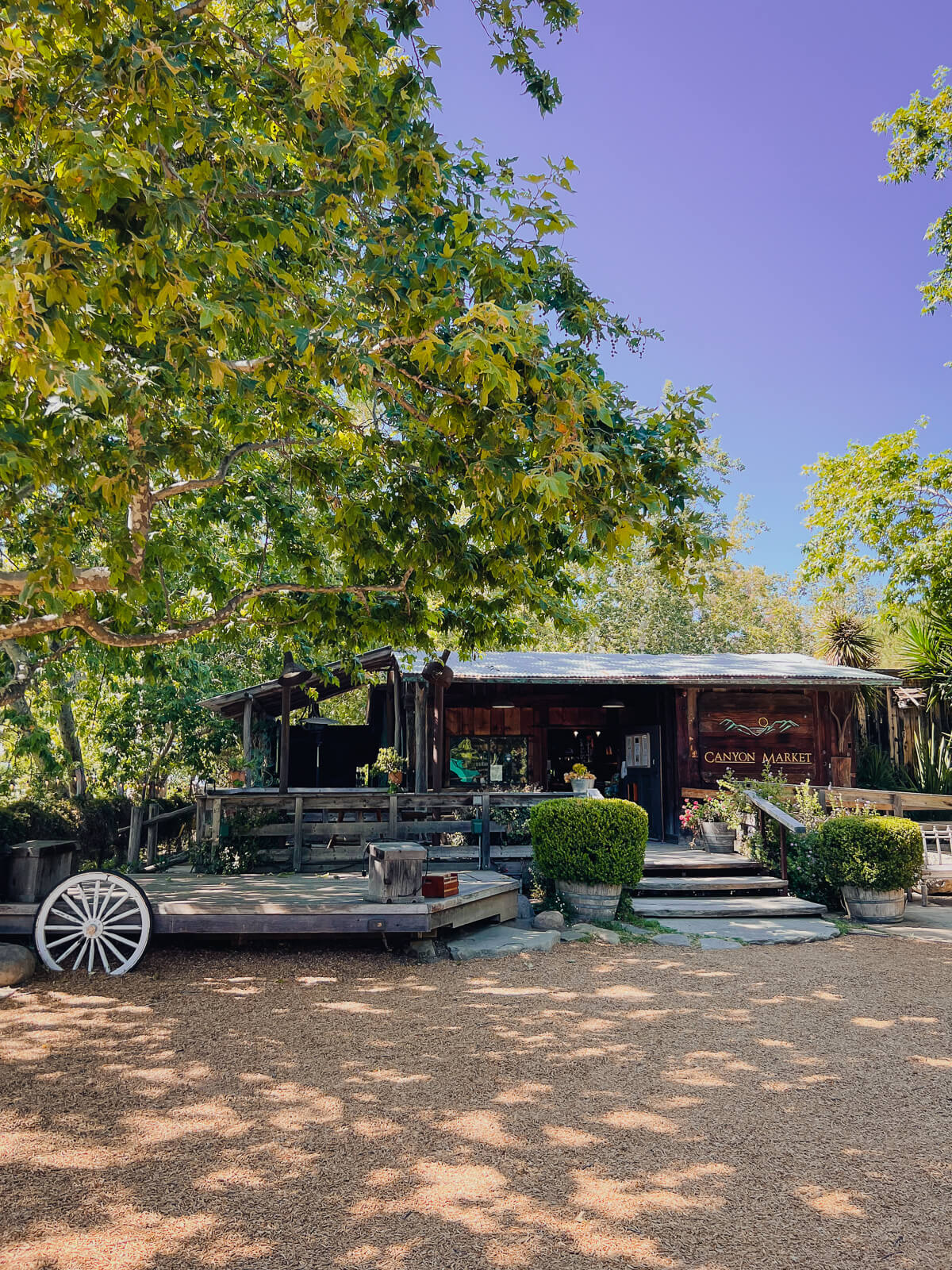 A cedar general store with words "Canyon Market" shaded by oak trees. A wagon wheel sits off to the side of a wooden stage. 