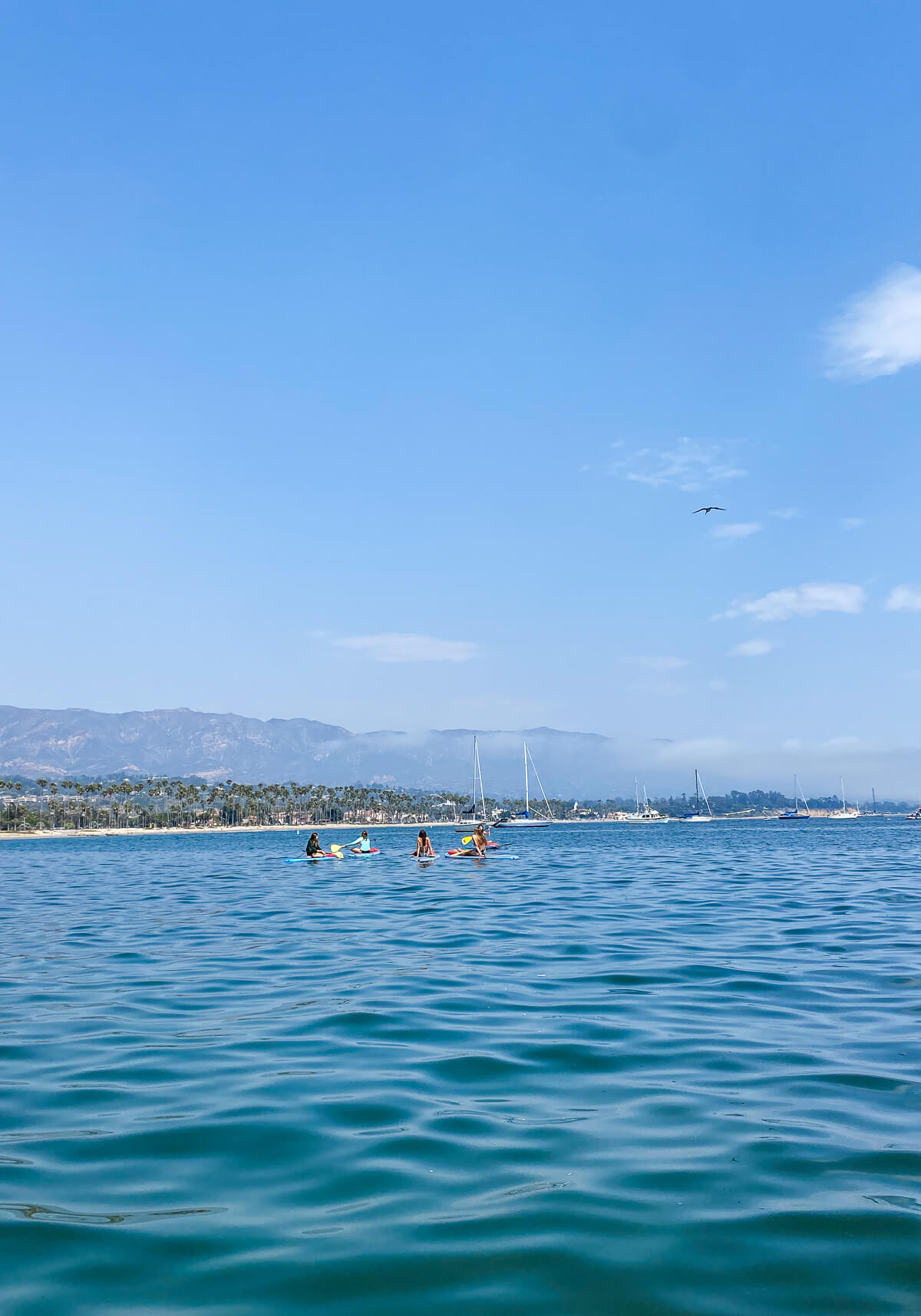5 teenagers sit on paddleboards in the Santa Barbara ocean with the mountains and shoreline in the background. 