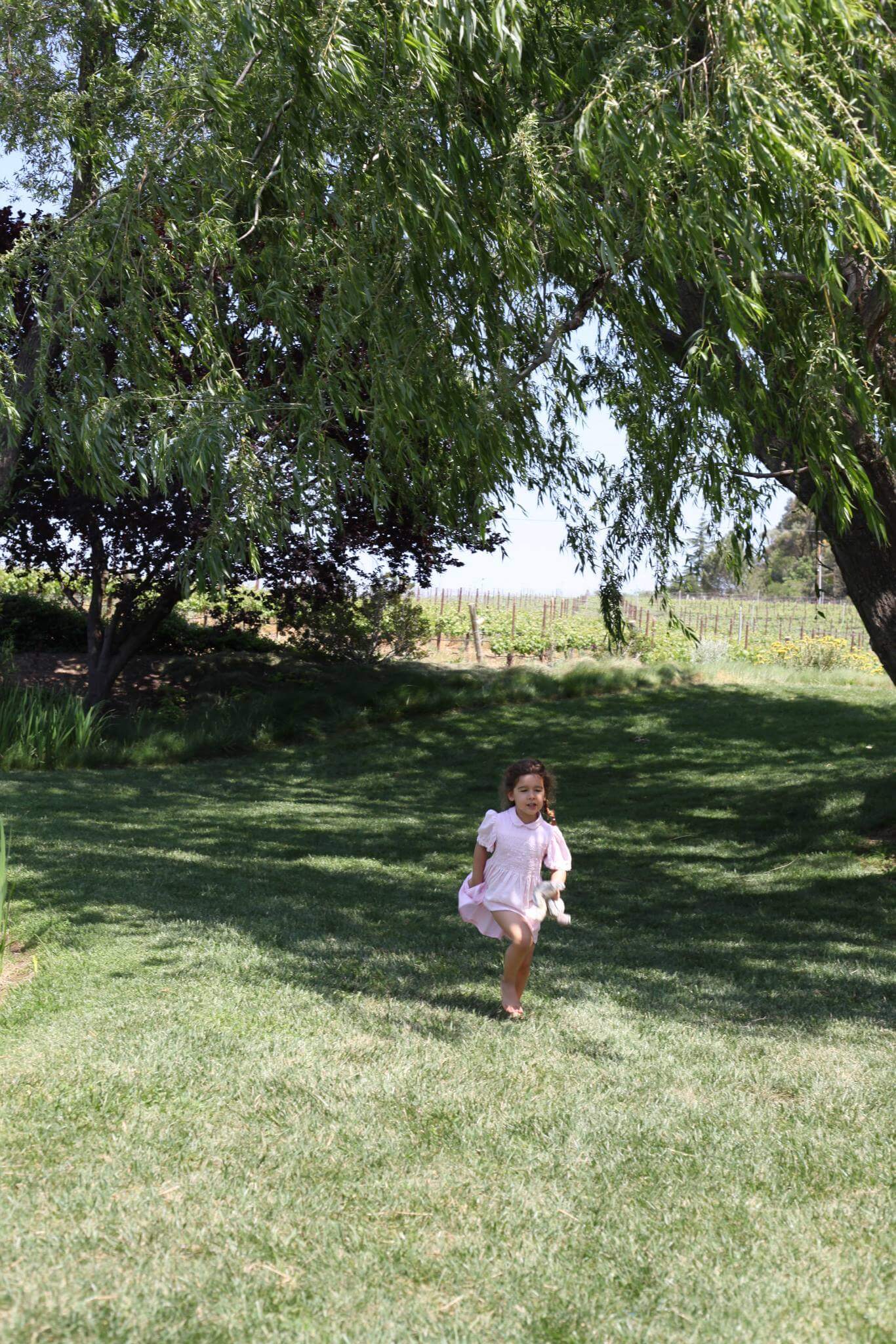A little girl in a pink dress runs on a lawn in front of a vineyard at a winery in Santa Barbara county. 