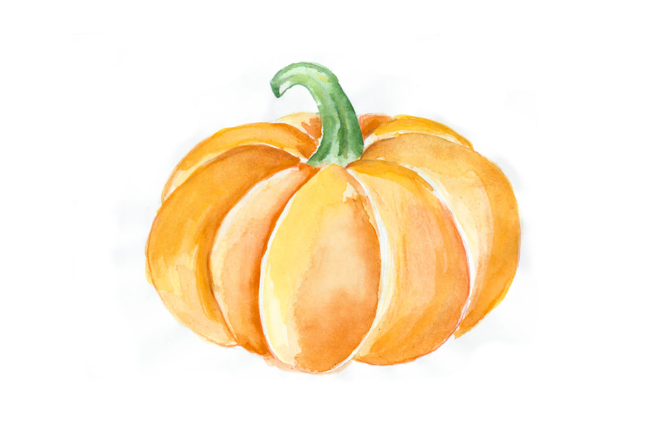 An easy pumpkin drawing in pencil and watercolor on a white background.