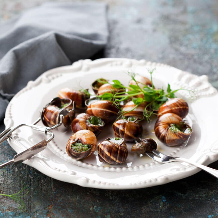 A white plate of escargots snails in shells with butter and parsley sauce.