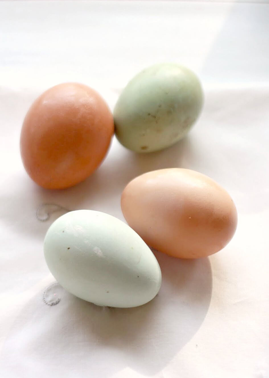 Are Easter Eggers Best for Blue Eggs?