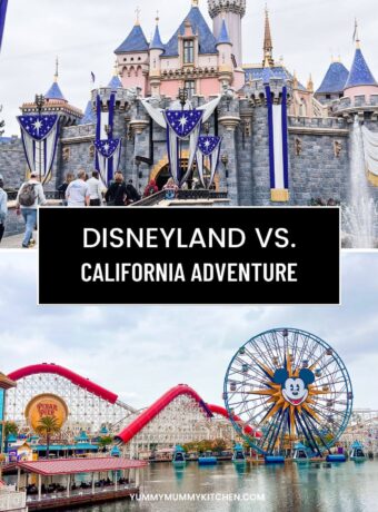 A photo of the Disneyland castle on top and California Adventure Pixar Pier with roller coaster on the bottom. Text overlay reads "Disneyland vs. California Adventure"