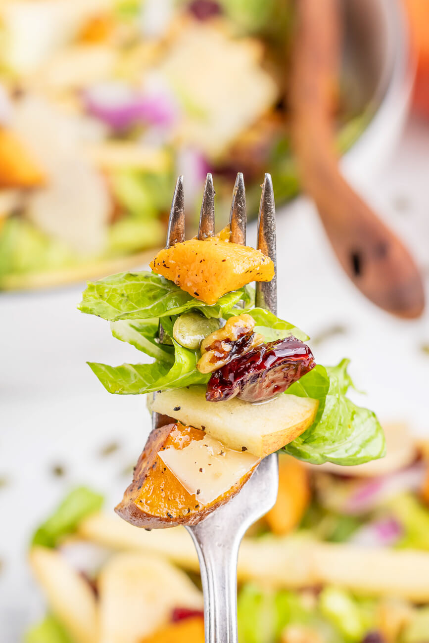 A close-up photo of a fork filled with a delicious bite of sweet potato salad. Romaine, sweet potato, apple, cranberry, and walnut can be seen on the fork. 