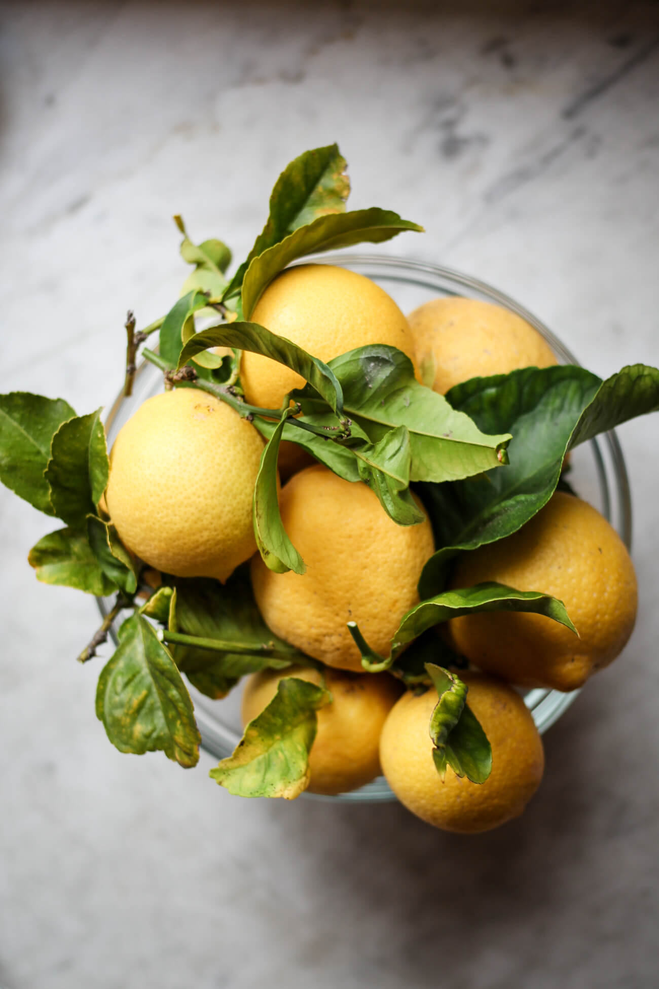 A large glass bowl filled with homegrown California lemons with lots of green leaves still attached. the bowl sits on a white marble counter. 