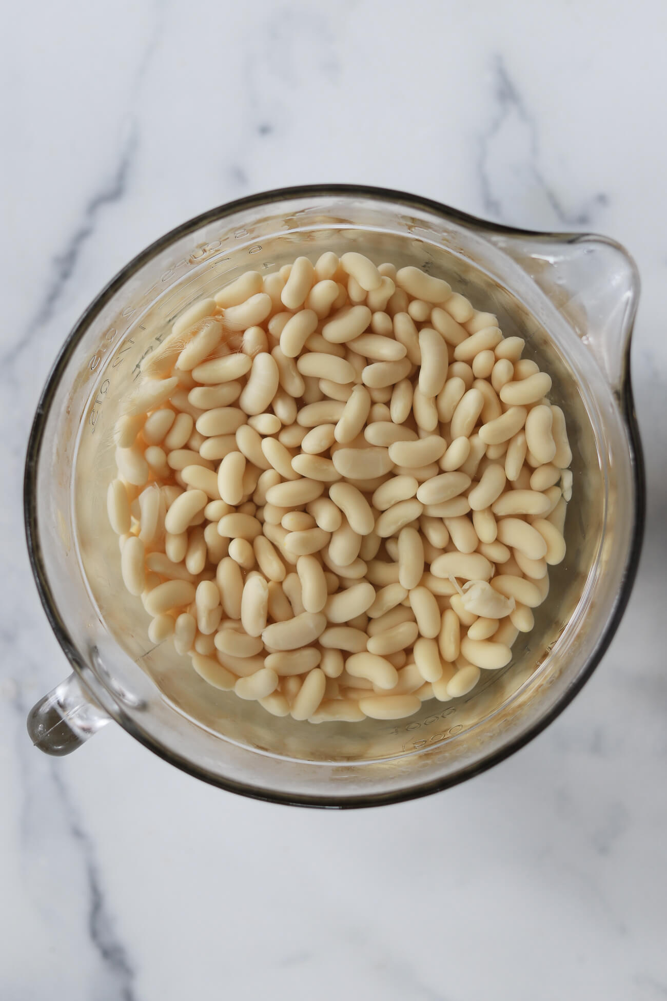 Dried cannellini beans soaking in a glass bowl of water on a marble countertop before making Greek bean soup. 
