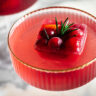 Christmas Cranberry Ice Cubes for Festive Drinks