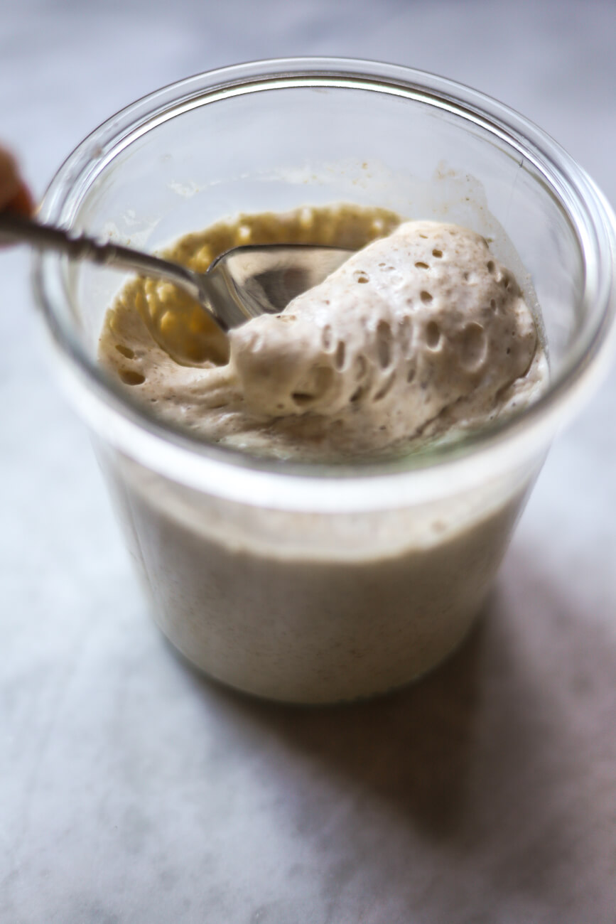 sourdough starter Active sourdough starter in a Weck jar