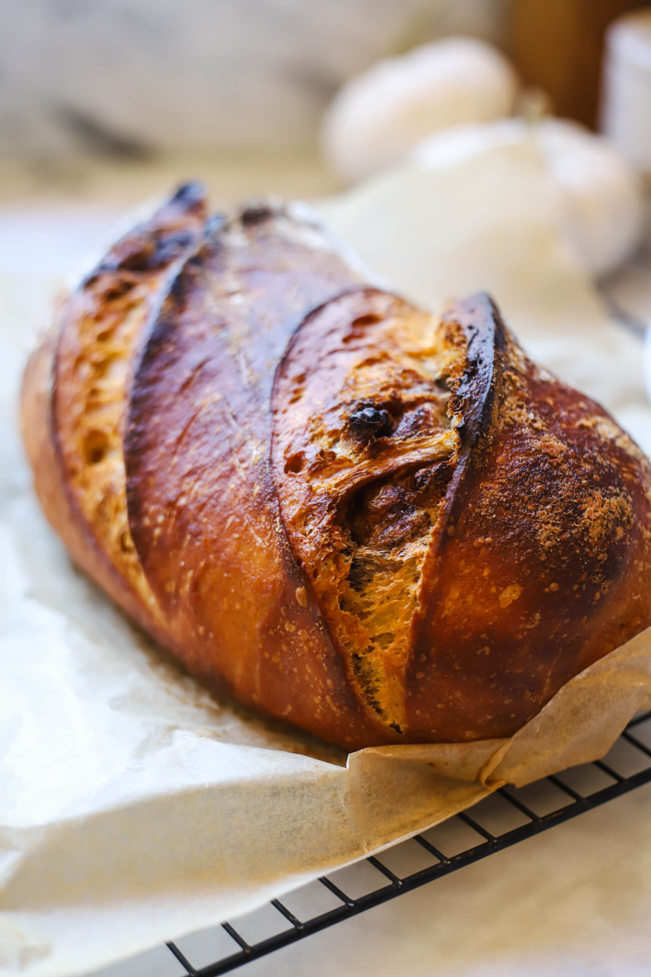 Fresh Baked Pumpkin Sourdough Loaf Freshly baked pumpkin sourdough bread loaf cooling on a rack after baking