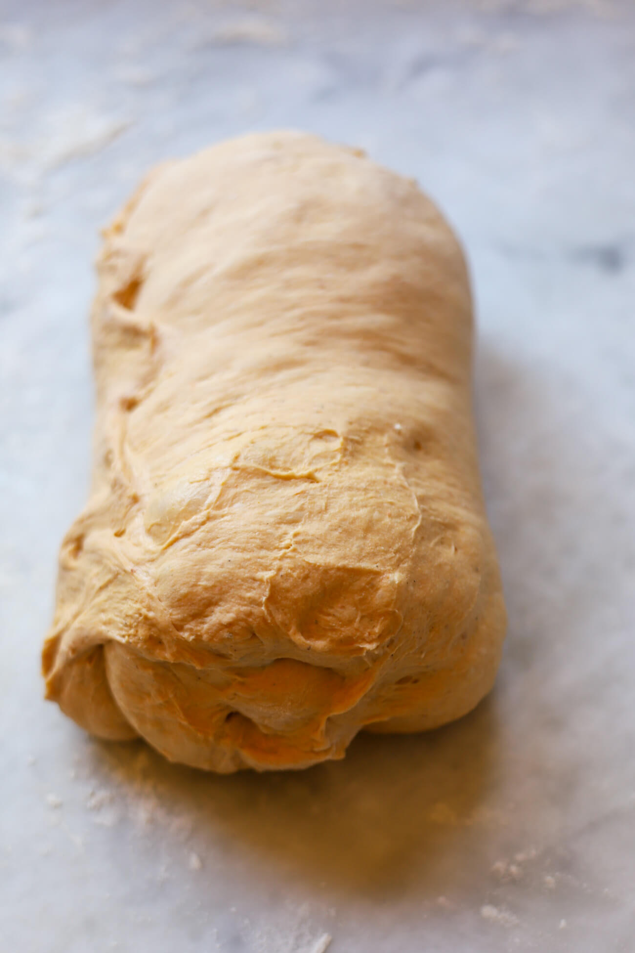 Pumpkin sourdough bread dough shaped into a log.