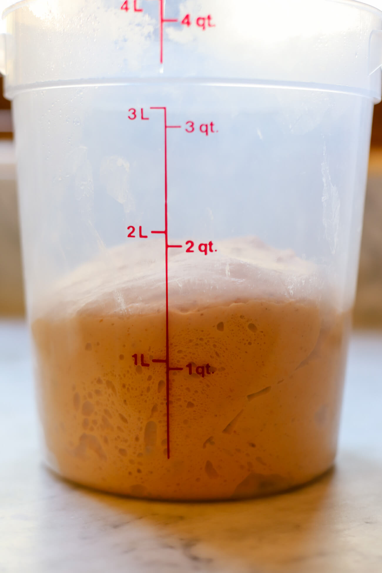 Pumpkin Sourdough Bulk Fermentation Pumpkin sourdough dough rising during bulk fermentation in a clear container