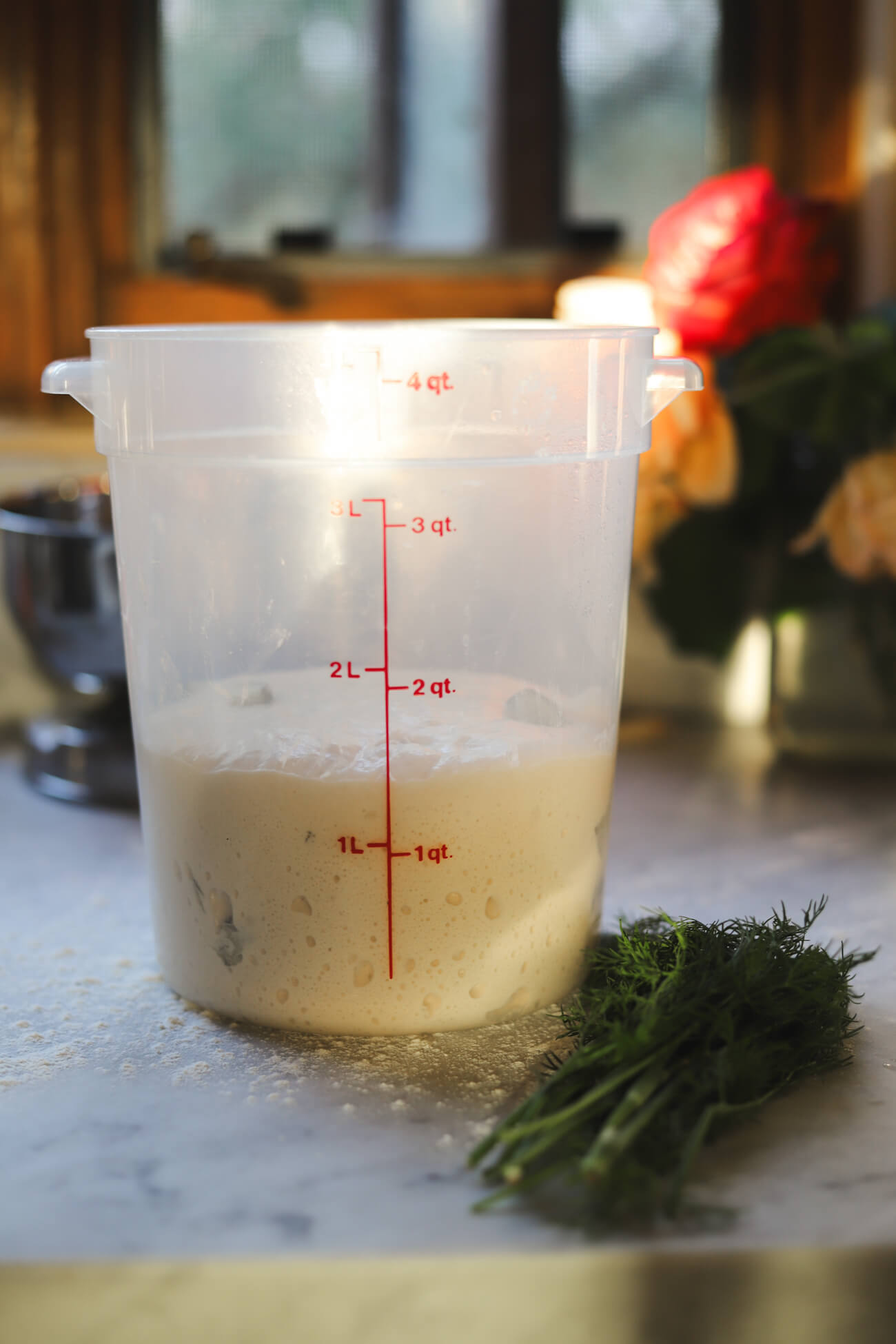 dill pickle sourdough bulk rise Dill pickle sourdough dough during bulk fermentation with fresh dill