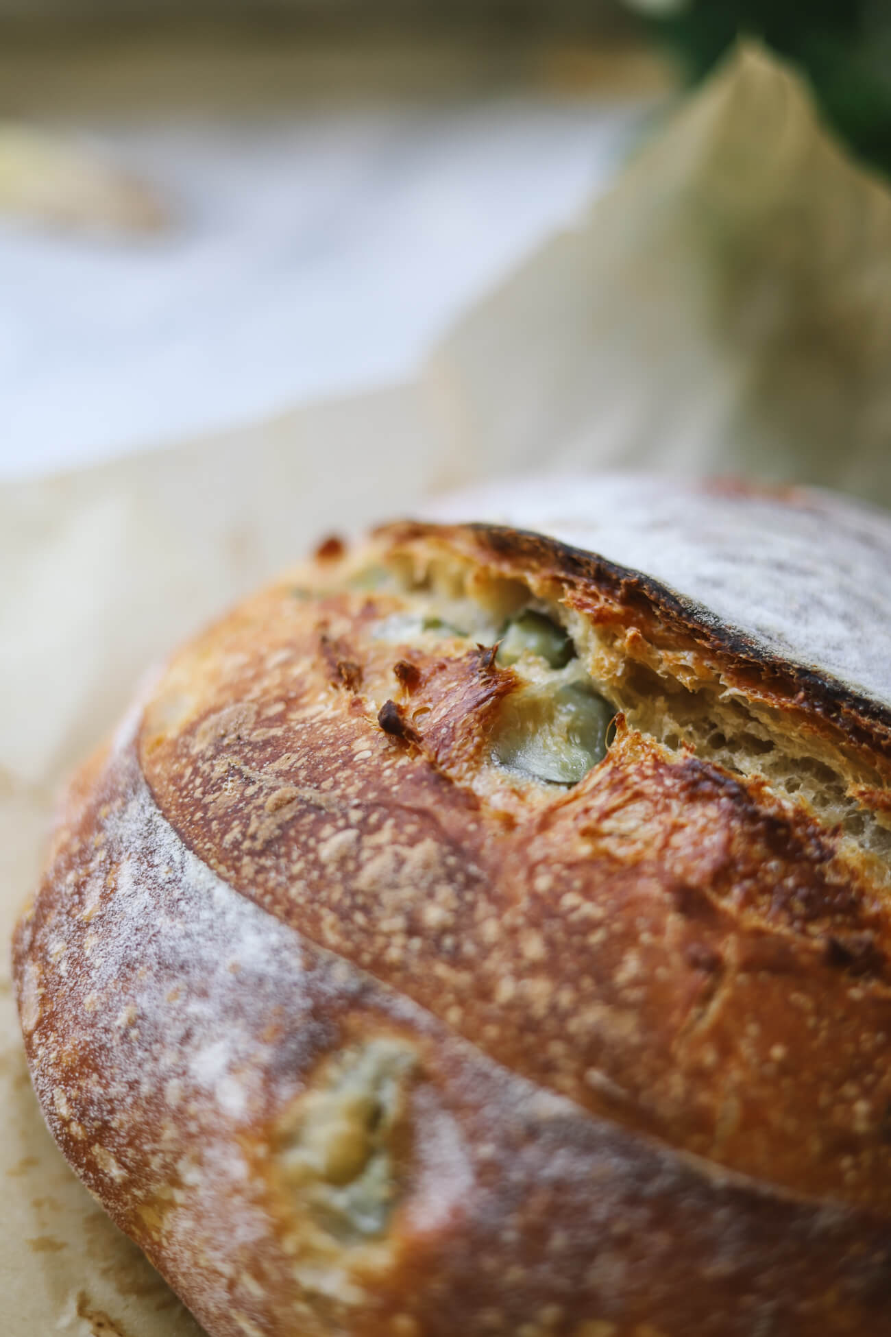 dill pickle sourdough bread loaf Close-up of dill pickle sourdough bread with chopped pickles baked into the crust