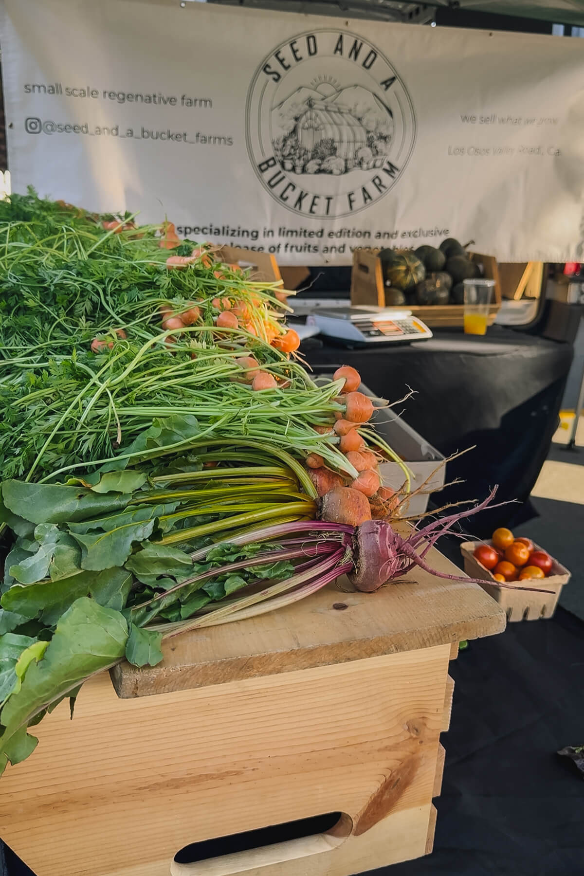 Morro Bay Farmer's Market Seed and a Bucket Farm stand at the Morro Bay farmer's market. Fresh red and yellow beets, tomatoes, and squash.