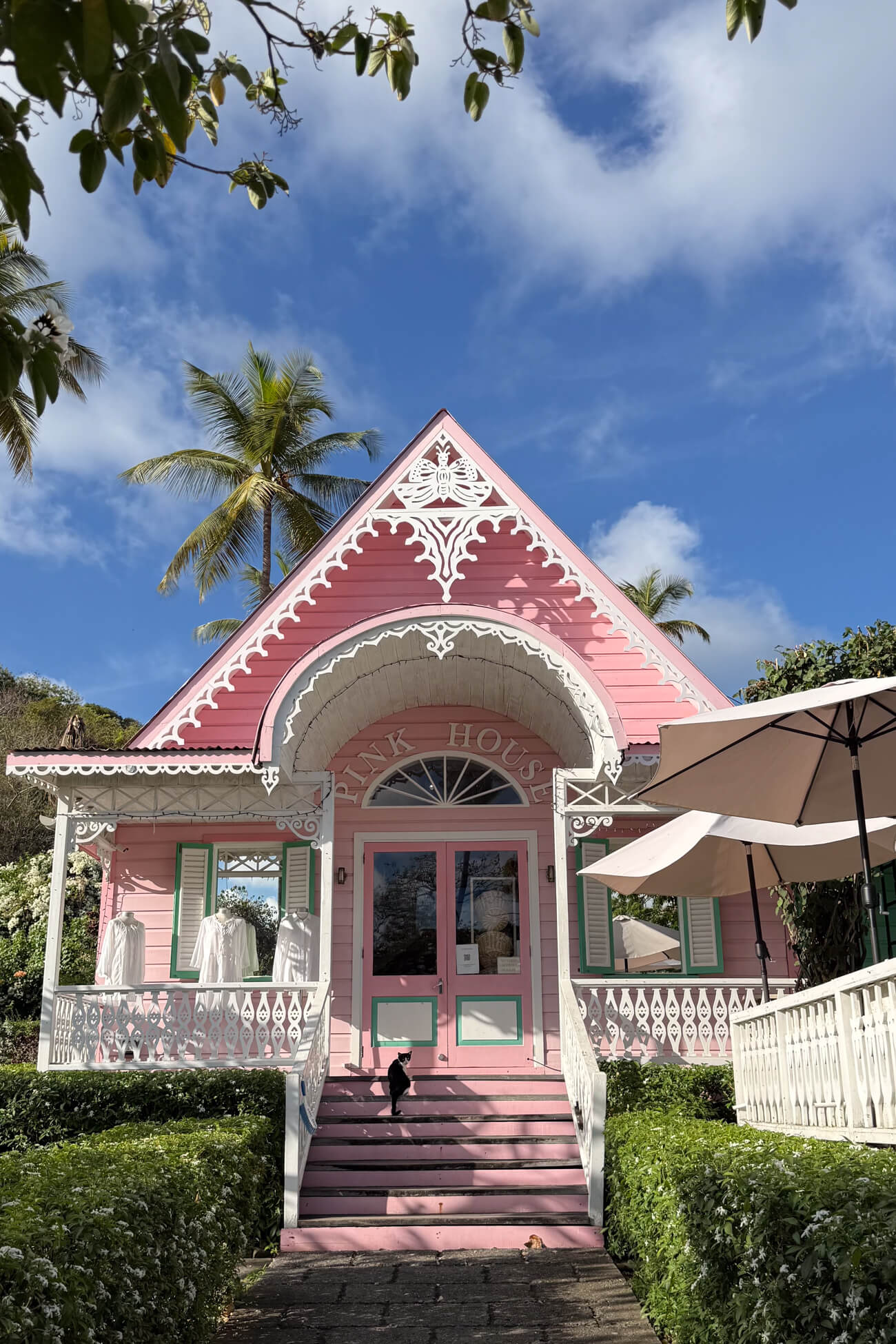 Pink House Mustique A tuxedo cat sits on the porch of Pink House, a pink and white cottage-style shop on Mustique Island.