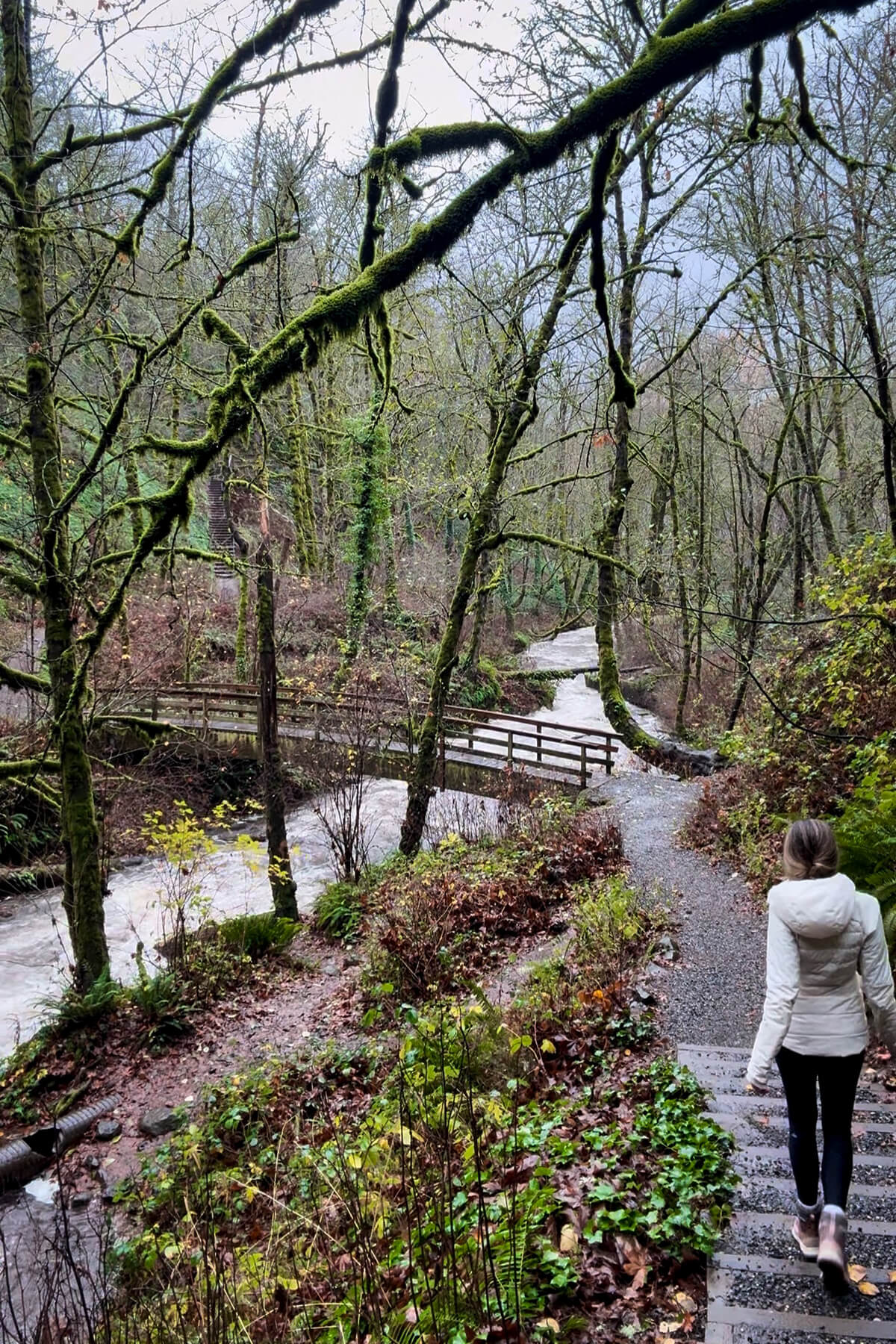 Bridal Veil Falls Trail, Oregon Marina Delio walking the forest trail to Bridal Veil Falls in the Columbia River Gorge.