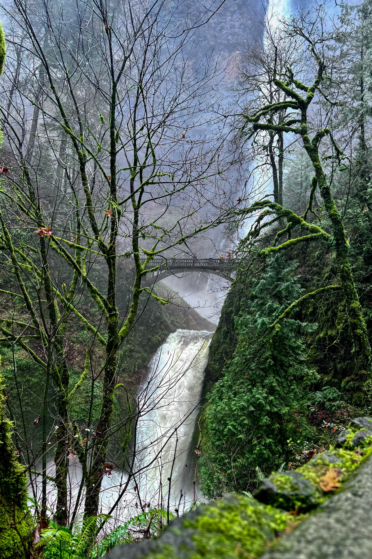 Multnomah Falls A dramatic view of Multnomah Falls in Oregon through the trees.